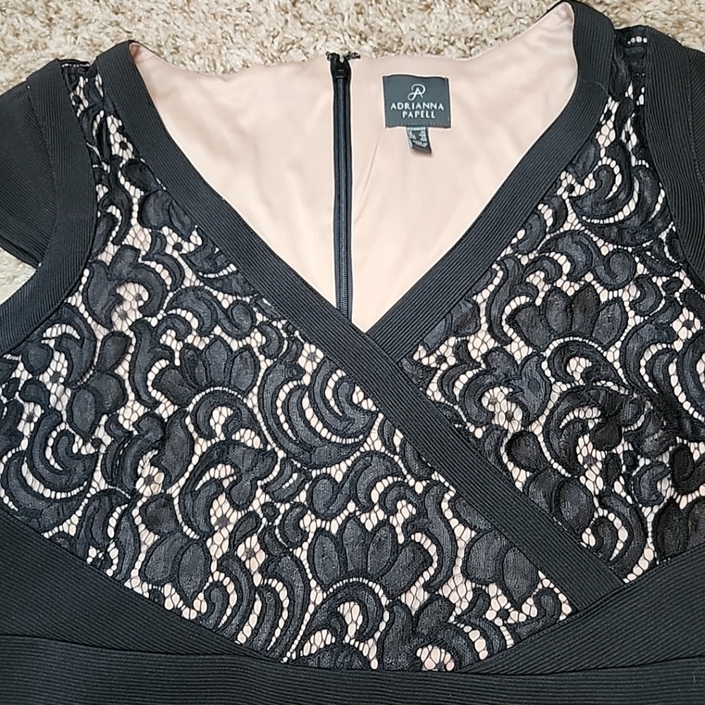 Adrianna Papell Black Womens Size 14W Lace Illusion Sheath Dress - Picture 8 of 12